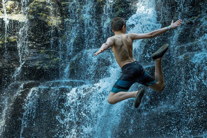 Half-Day Nauyaca Waterfalls Tour, With Swimming and Jumping  - Quepos - Expert Guides