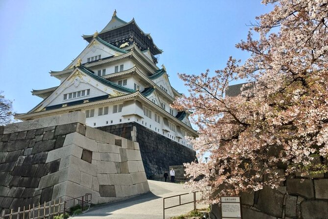 Half-Day Private Guided Tour to Osaka Castle - Expert Guided Tour