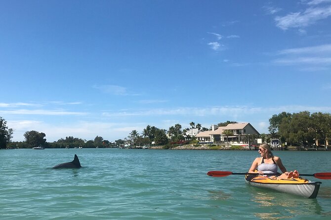 Half-Day Private Sarasota Charter Tour With Wildlife Watching - Wildlife Watching Opportunities