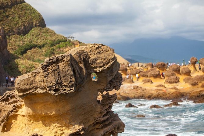Half Day Private Tour to Yangmingshan National Park and Yehliu Geopark - Customizable Itinerary Options