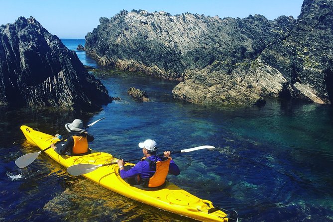 Half Day Sea Kayak Tour From Batemans Bay With Morning Tea and Snorkeling - Participant Limit and Group Experience