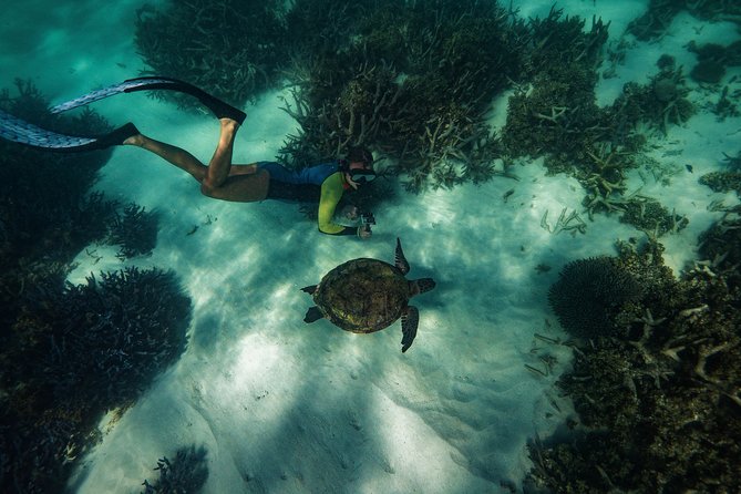 Half Day Snorkel 2.5hr Turtle Tour on the Ningaloo Reef, Exmouth - Transportation and Wet Suit Options