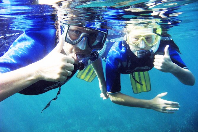 Half Day Snorkeling Experience in Kos Greece - Expert Guided Tour