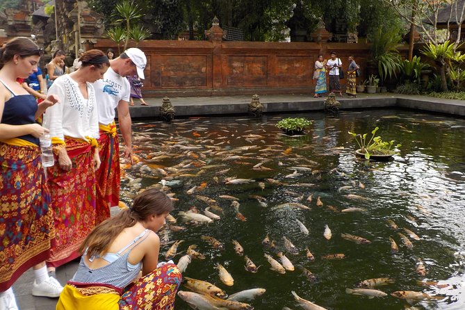 Half-Day Ubud Electric Cycling Tour to Tirta Empul Water Temple - Meeting and Transportation Details