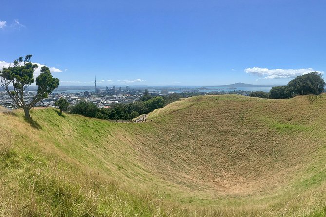 Half-Day Volcano Tour From Auckland - Meeting Point Details