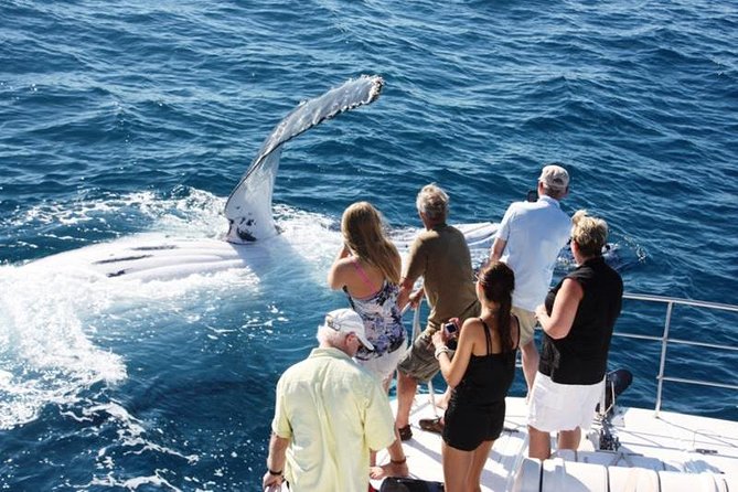 Half-Day Whale Watching Sunset Cruise From Broome - Parking and Transportation Information