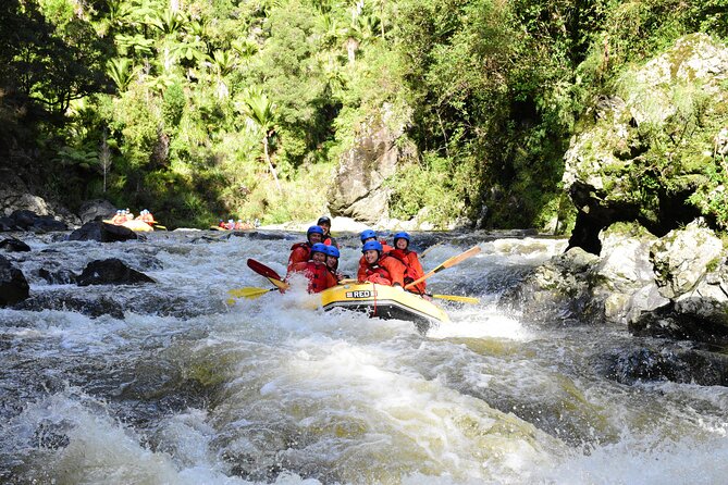 Half-day Whitewater Rafting Experience in Wellington. (Mar ) - Experience Overview