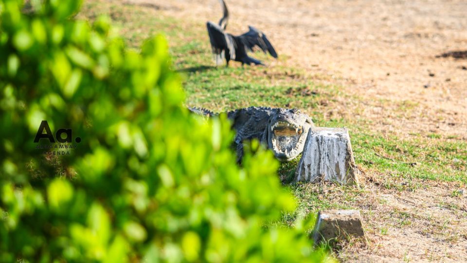 Half-Day Wild Safari in Yala National Park - Instructor & Pickup Details