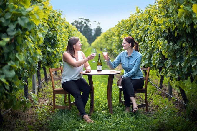 Half-Day Wine Tour From Picton - Meeting and Pickup Information