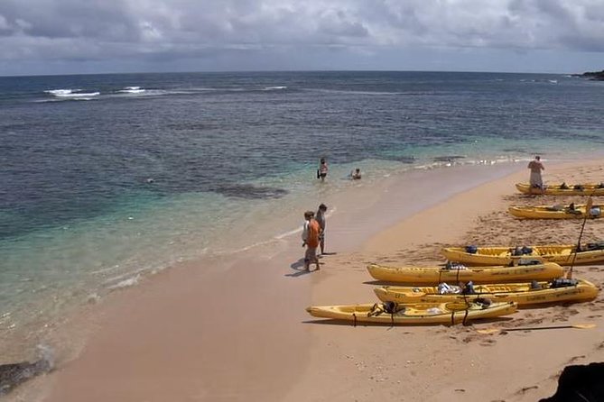 Hanalei River Paddle and Bay - Snorkel Tour - 8 Am - Logistics