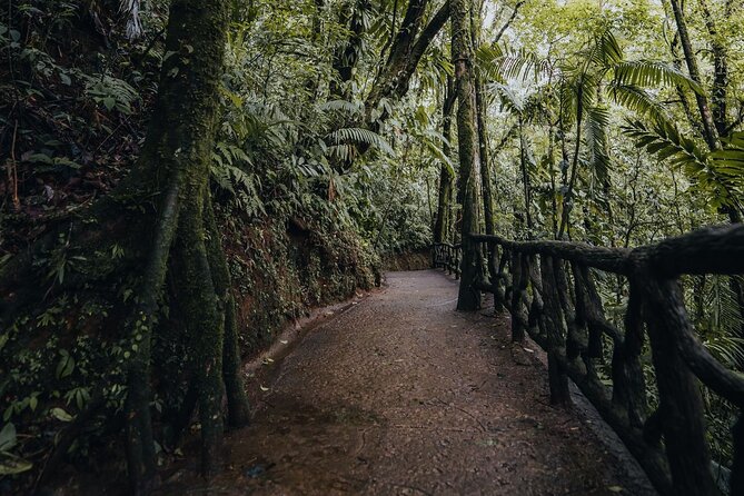 Hanging Bridges Walk in Arenal Volcano - Visitor Experiences Highlighted