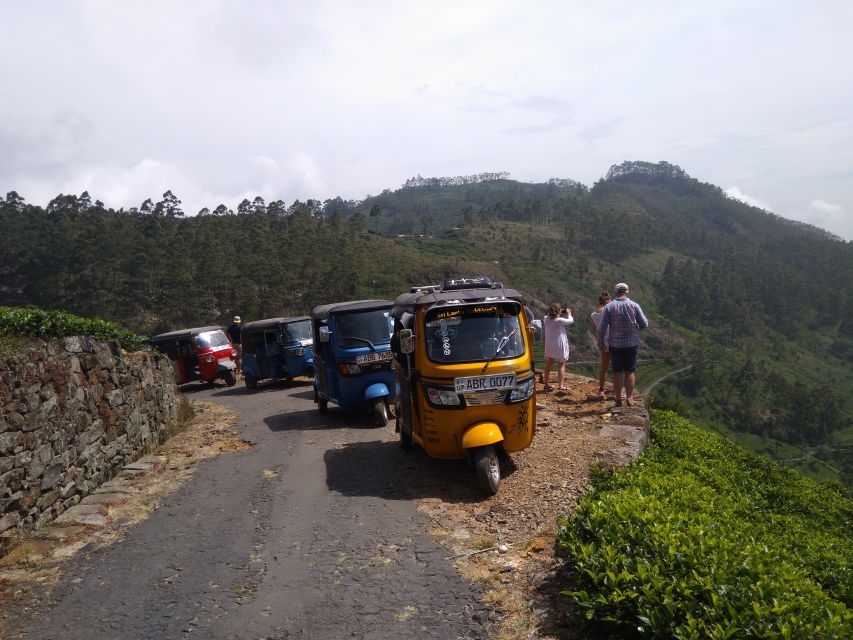 Haputale: Ella, Small Adam's Peak, & Nine Arches Bridge Hike - Booking Information