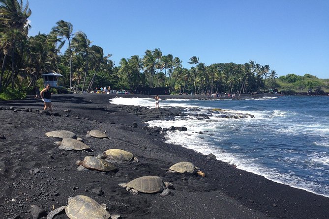 Hawaii Big Island Circle Small Group Tour: Waterfalls - Hilo - Volcano - Black Sand Beach - Traveler Tips