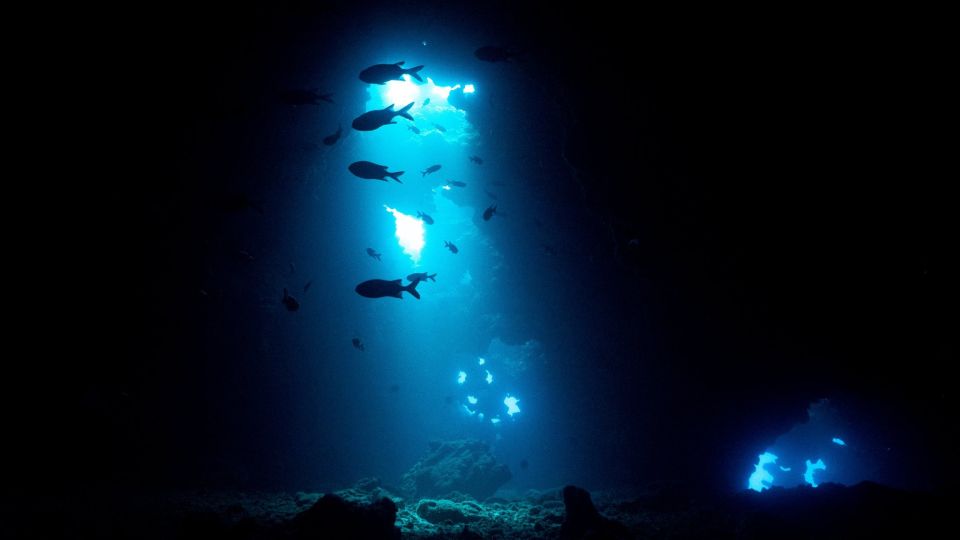 Hawaii: Small Group 2-Tank Lanai Cathedrals Dive - Diving Experience