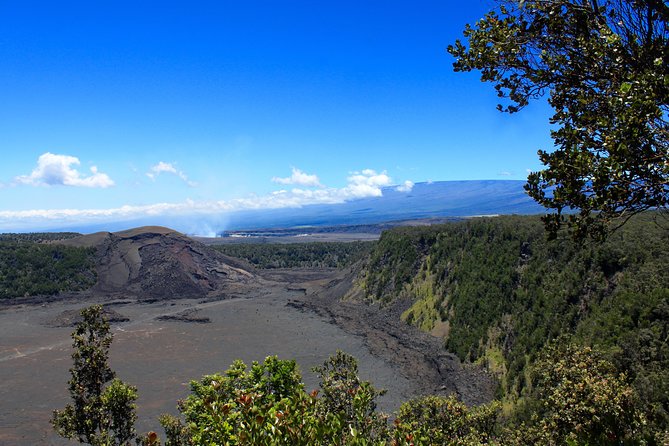 Hawaii Volcanoes National Park and Hilo Highlights Small Group Tour - Cancellation Policy and Requirements