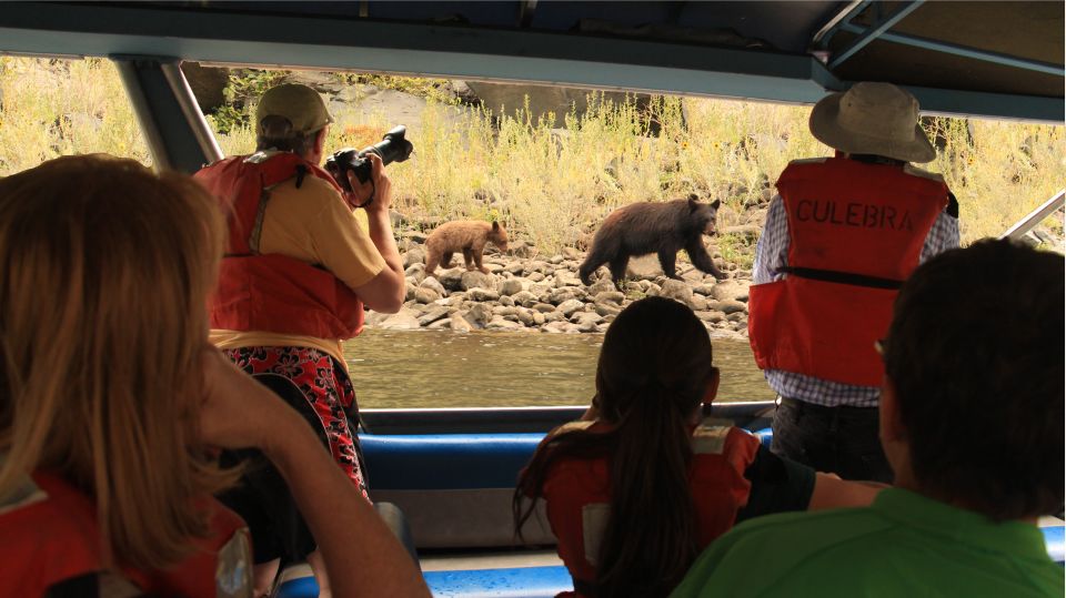 Hells Canyon: Yellow Jet Boat Tour to Kirkwood, Snake River - Experience Highlights