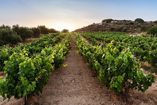 Heraklion Valley Winery Tour With Lunch and Two Wine Tastings  - Crete - Reviews Overview