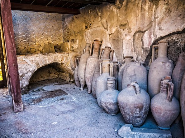 Herculaneum Private Tour With an Archaeologist - Inclusions and Amenities