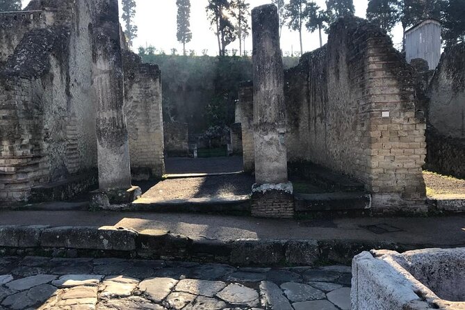 Herculaneum - Small Group Tour - Inclusions and Logistics