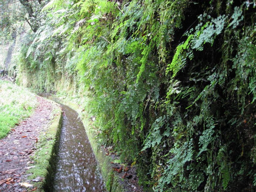 Hidden Corners, the Kings Levada Full Day Hike - Duration and Guide Details