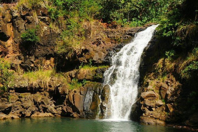 Hidden Gems of Oahu - Circle Island Tour With Waimea Waterfall - Traveler Experience Highlights