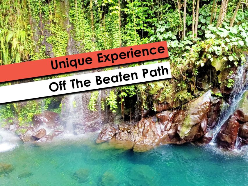 Hidden Waterfalls & Untouched Nature: 1-D All Inclusive - Highlights of the Tour