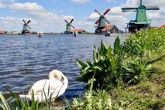 Highlights of Holland Private Guided Tour From Amsterdam - Traveler Photos