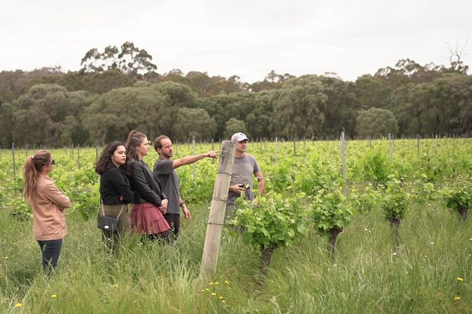 Highlights of Margaret River: Wineries, Boranup Forest & Lunch - Traveler Experiences and Reviews
