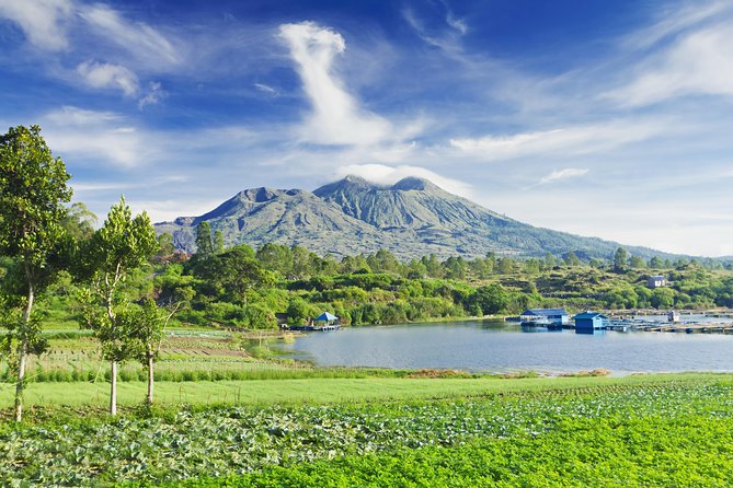 Highlights of Ubud & Mount Batur Volcano - Private Day Trip - Ubud Monkey Forest Sanctuary Visit