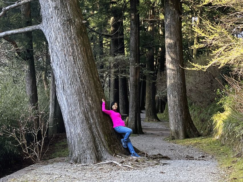 Hike Japan Heritage Hakone Hachiri of Old Tokaido Highway - Inclusions and Services