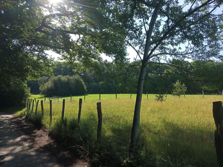 Hikes With a Picnic Backpack in the Ardennes - Picnic Backpack Experience Details