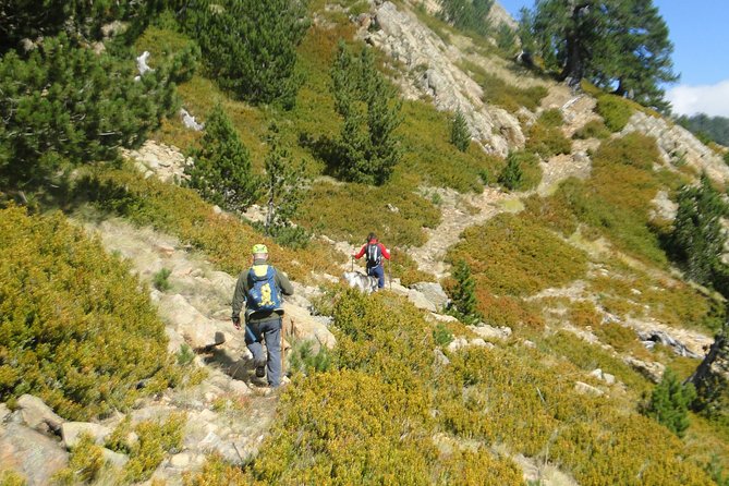 Hiking Activity to Flenga Peak and Dragon Lakes - Requirements and Recommendations