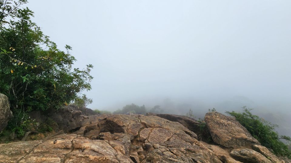 Hiking on Pedra Da GÁVEA Mountain in Rio De Janeiro - Trail Difficulty and Terrain Information