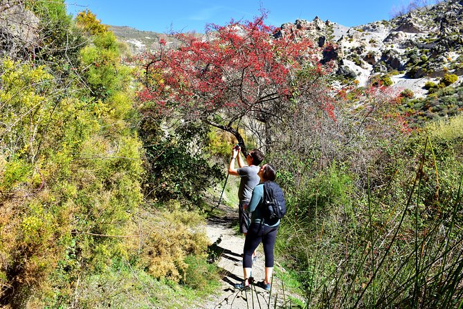 Hiking Through Los Cahorros De Monachil (Granada) - Inclusions and Logistics