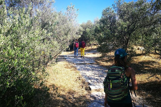 Hills Of Athens Walking Tour - Inclusions