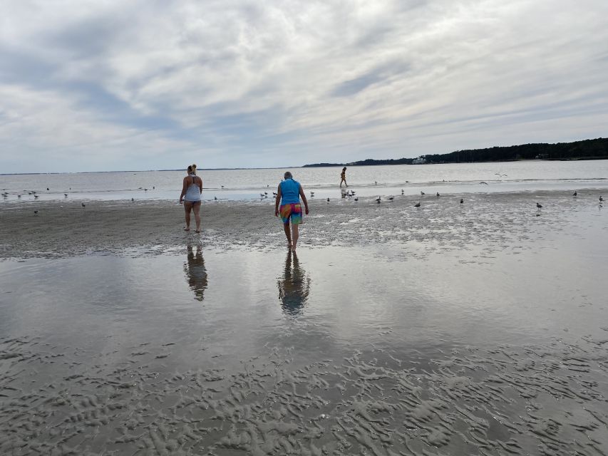 Hilton Head: Guided Disappearing Island Tour by Mini Boat - Highlights