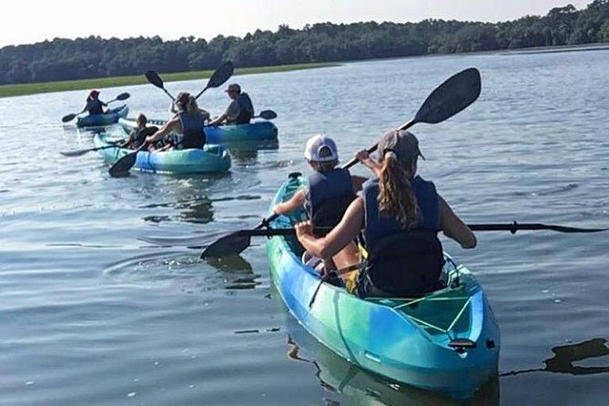 Hilton Head Guided Kayak Tour - Wildlife and Ecology Exploration