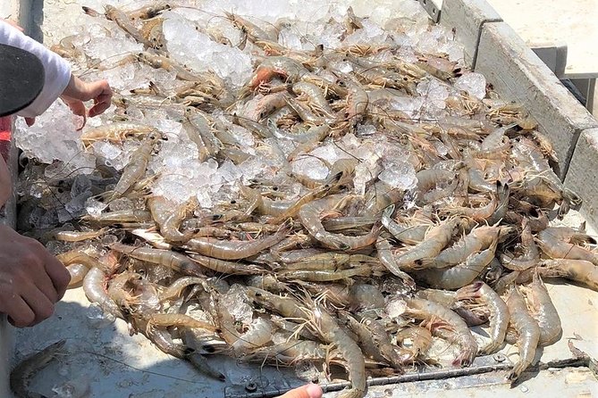 Hilton Head Shrimp Trawling Boat Cruise - Tour Logistics