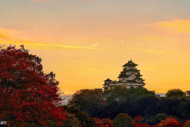 Himeji Full-Day Private Tour With Government-Licensed Guide - Booking and Logistics Details