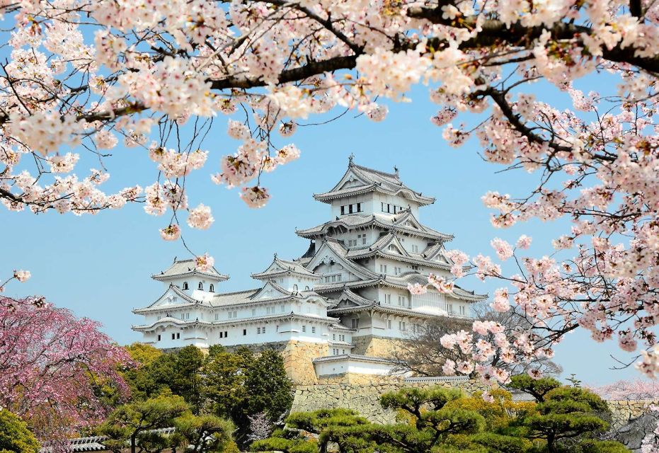 Himeji: Private Customized Tour With Licensed Guide - Experience Highlights