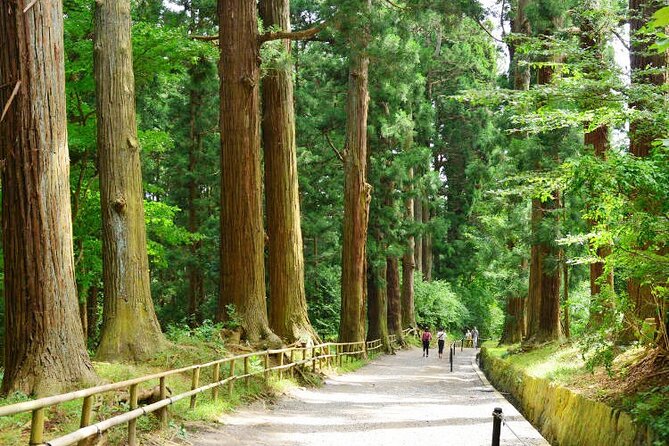 Hiraizumi Half-Day Private Trip With Government-Licensed Guide - Itinerary Overview