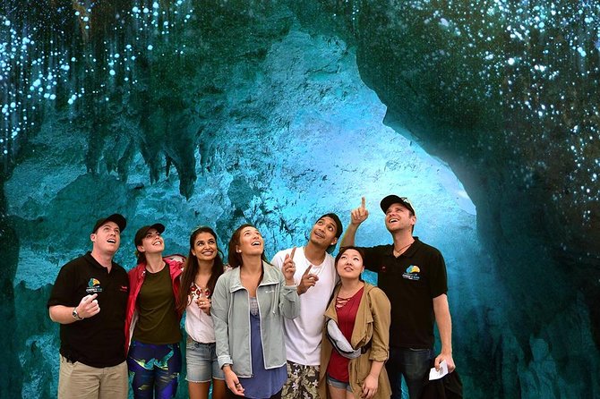 Hobbiton & Waitomo Caves Small Group Tour From Auckland - Traveler Reviews