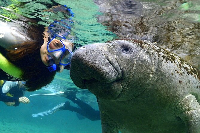 Homosassa Springs and Manatee Snorkeling Experience, Orlando - Itinerary and Activities Overview