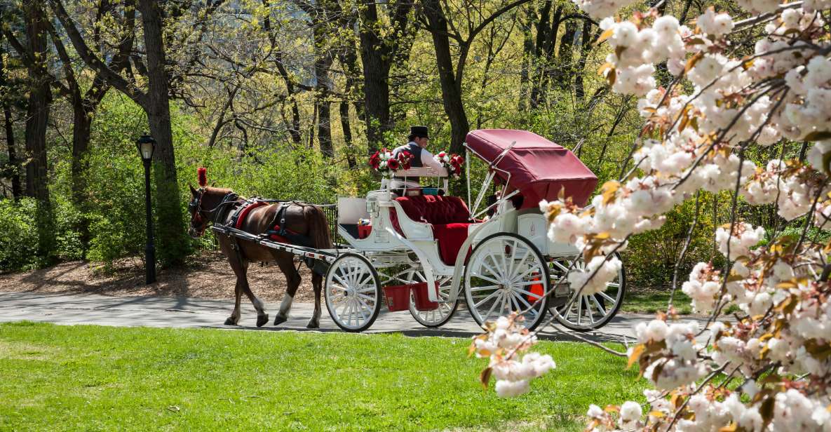 Horse and Carriage Rides Central Park - Experience Highlights