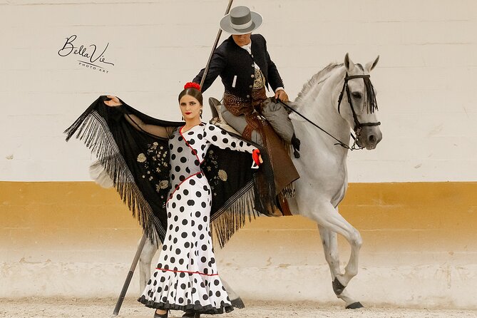 Horse and Flamenco Show in Malaga - Venue Location