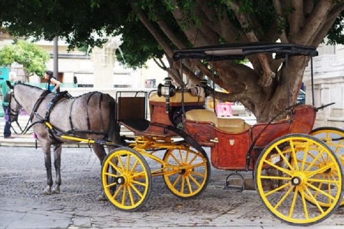 Horse-Drawn Carriage Private Ride Through Seville - Additional Information