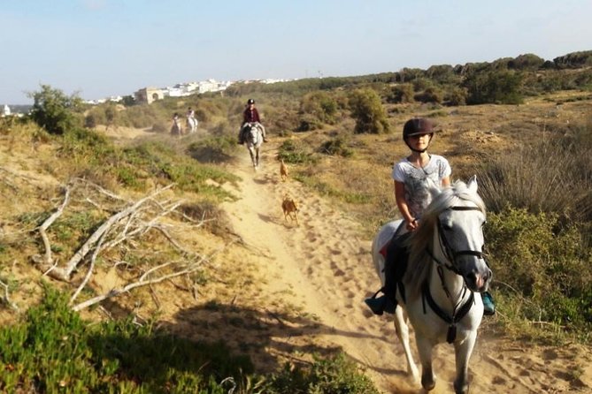 Horse Ride on the Beach in Essaouira - Logistics and Meeting Points
