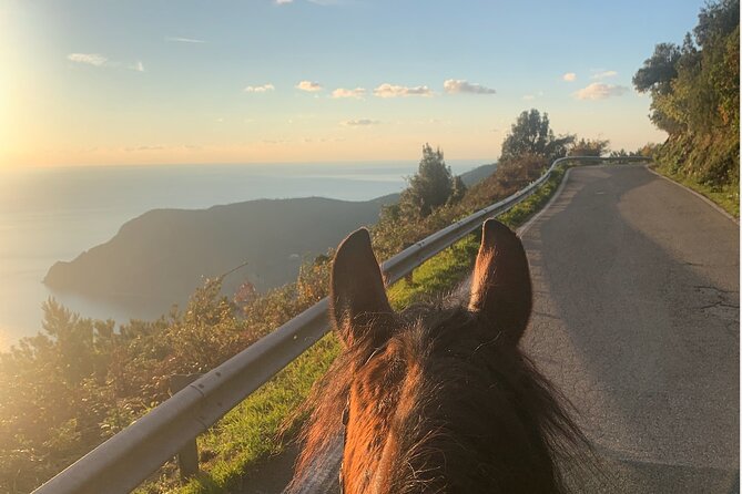 Horse Ride on the Coast of Monterosso Al Mare Cinque Terre - Horseback Riding Experience