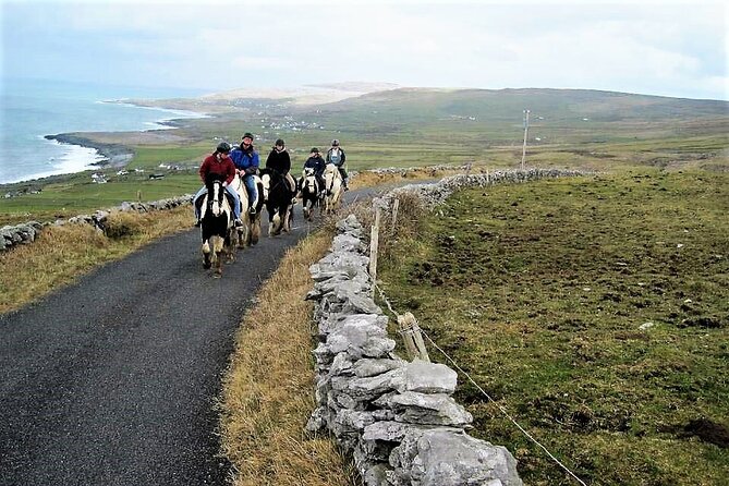Horse Riding - Dirt Trek Trail. Lisdoonvarna, Clare. Guided. 1 Hour. - Inclusions