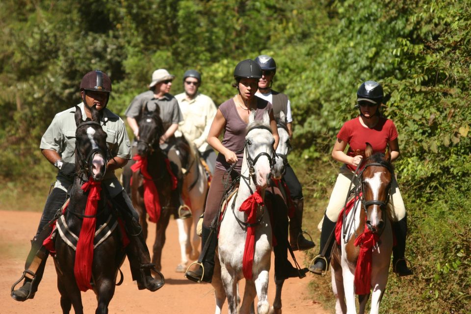 Horse Riding in Nuwara Eliya - Experience Highlights